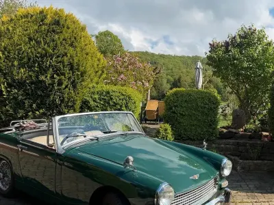 Gebraucht Austin Healey Sprite 59 PS (43 kW) 1964 Grün Cabrio