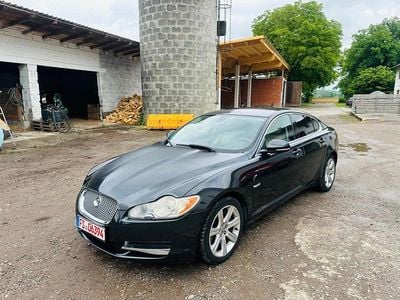 Gebraucht Jaguar XF Luxury 275 PS (202 kW) 2011 Grau Limousine