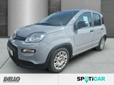 Gebraucht Fiat Panda