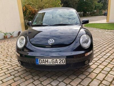 VW Beetle