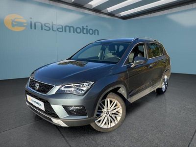 Grau Gebraucht 2020 Seat Ateca SUV | 19.750 € (Guter Preis)