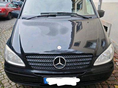 Mercedes Viano