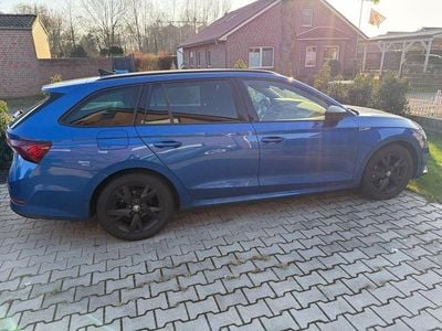 Gebraucht Skoda Octavia SportLine 150 PS (110 kW) 2023 Blau Kombi