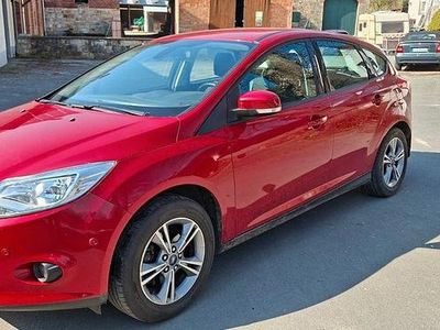 Usata Ford Focus Champions Edition 125 CV (91 kW) 2013 Rosso Berlina