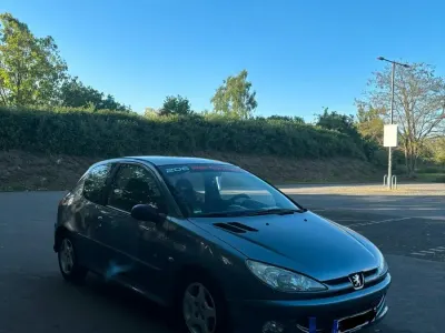 Usata Peugeot 206 75 CV (55 kW) 2007 Utilitaria