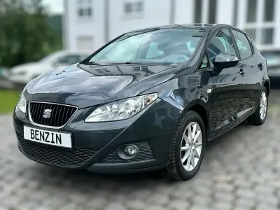 Gebraucht Seat Ibiza Style 86 PS (63 kW) 2011 Grau Kleinwagen