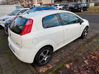 gebraucht Fiat Punto 