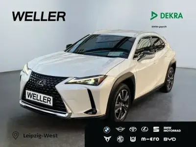 Gebraucht Lexus UX 250h 184 PS (135 kW) 2023 Weiss SUV