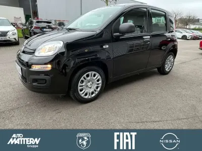 Nouvelle Fiat Panda Icon 65 ch (47 kW) 2026 Noir Berline