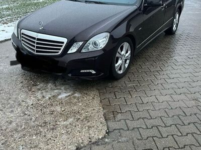 gebraucht Mercedes E220 