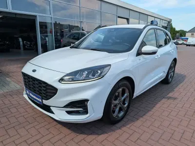 Gebraucht Ford Kuga ST-Line 150 PS (110 kW) 2023 Weiß SUV