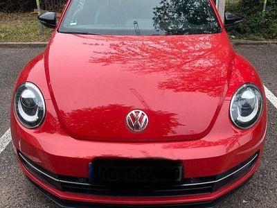 VW Beetle