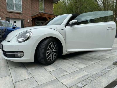 gebraucht VW Beetle Allstar BMT