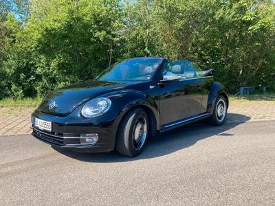 VW Beetle