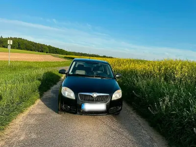 Gebraucht Skoda Fabia