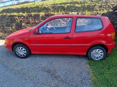 VW Polo