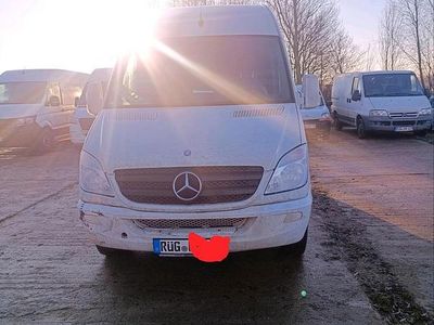 Weiß Gebraucht 2011 Mercedes Sprinter Van | 6.250 € (Superpreis)