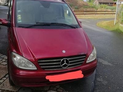 Mercedes Viano
