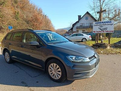 Grau Gebraucht 2019 VW Golf VII Trendline Kombi | 10.700 € (Superpreis)