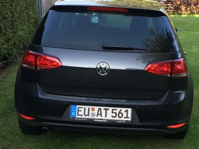 Gebraucht VW Golf VII Allstar 110 PS (80 kW) 2016 Grau Kleinwagen
