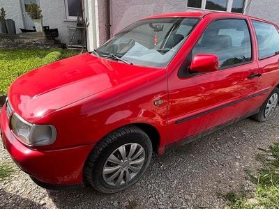 VW Polo