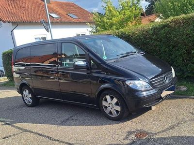 Mercedes Viano