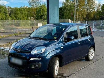 gebraucht Fiat Panda 2017 86 PS 0.9