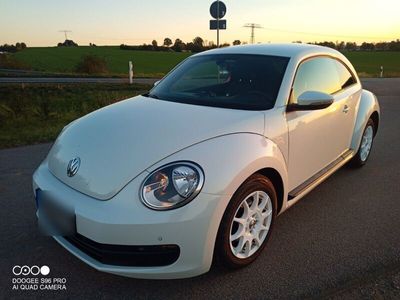 gebraucht VW Beetle 