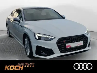 Gebraucht Audi S5 Sportback