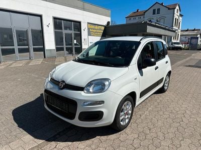 Gebraucht Fiat Panda 69 PS (50 kW) 2014 Weiß Kleinwagen