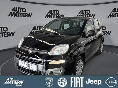 Neu Fiat Panda Icon 65 PS (47 kW) 2026 Schwarz Kleinwagen