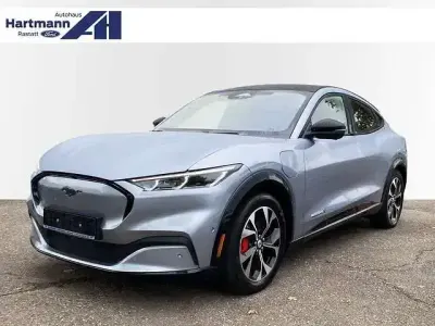Gebraucht Ford Mustang Basis 2022 Silber