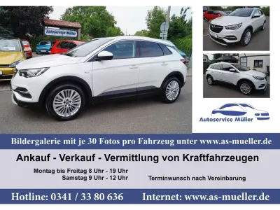 Gebraucht Opel Grandland X 224 PS (164 kW) 2020 Abalone (metallic) SUV