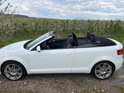 Gebraucht Audi A3 Cabriolet Comfort 105 PS (77 kW) 2010 Weiß Cabrio