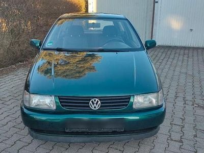 VW Polo