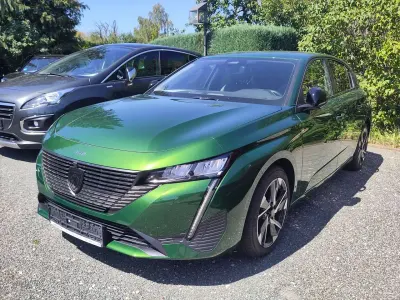 Gebraucht Peugeot 308 Allure 131 PS (96 kW) 2024 Lackierung olivgrün Kleinwagen