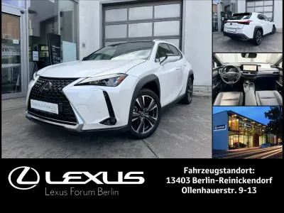 Gebraucht Lexus UX 250h Executive Line 184 PS (135 kW) 2023 Weiß SUV