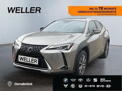 Lexus UX 300e