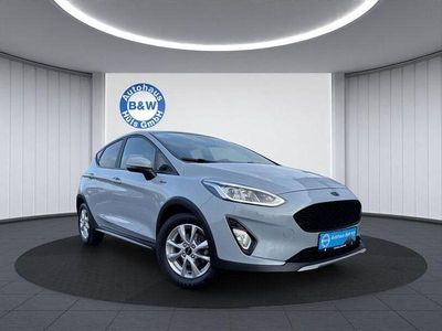 Gebraucht Ford Fiesta Active 101 PS (74 kW) 2018 Grau Kleinwagen
