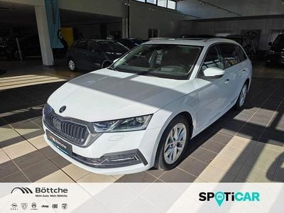 Gebraucht Skoda Octavia Style 116 PS (85 kW) 2023 Moonweiss metallic Kombi