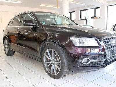 Gebraucht Audi SQ5 Ambiente 313 PS (230 kW) 2014 Rot SUV