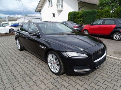 gebraucht Jaguar XF 35t Portfolio Leder beige, Bi-Xenon, GSHD, Navi,