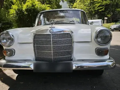 Gebraucht Mercedes 230 105 PS (77 kW) 1965 Weiß Limousine