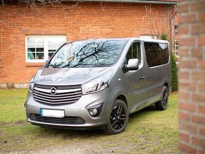 Grau Gebraucht 2017 Opel Vivaro Van / Kleinbus | 18.500 € (Teuer)