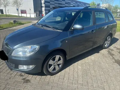 Usata Skoda Fabia GreenLine 75 CV (55 kW) 2014 Grigio Station wagon