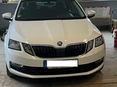 Gebraucht Skoda Octavia Soleil 150 PS (110 kW) 2019 Weiß Kombi