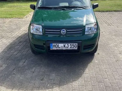 Gebraucht Fiat Panda 4x4 Climbing 69 PS (50 kW) 2006 Grün Kleinwagen