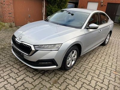 gebraucht Skoda Octavia Octavia2.0 TDI DSG Ambition