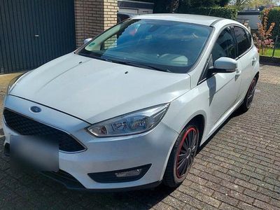 Usata Ford Focus Trend 125 CV (91 kW) 2016 Bianco Berlina
