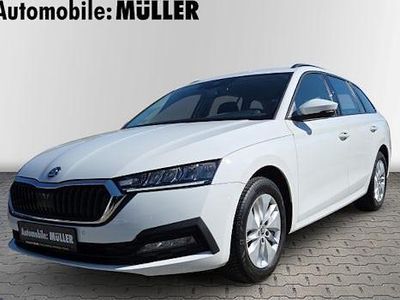 Usata Skoda Octavia Ambition 150 CV (110 kW) 2023 Bianco Station wagon
